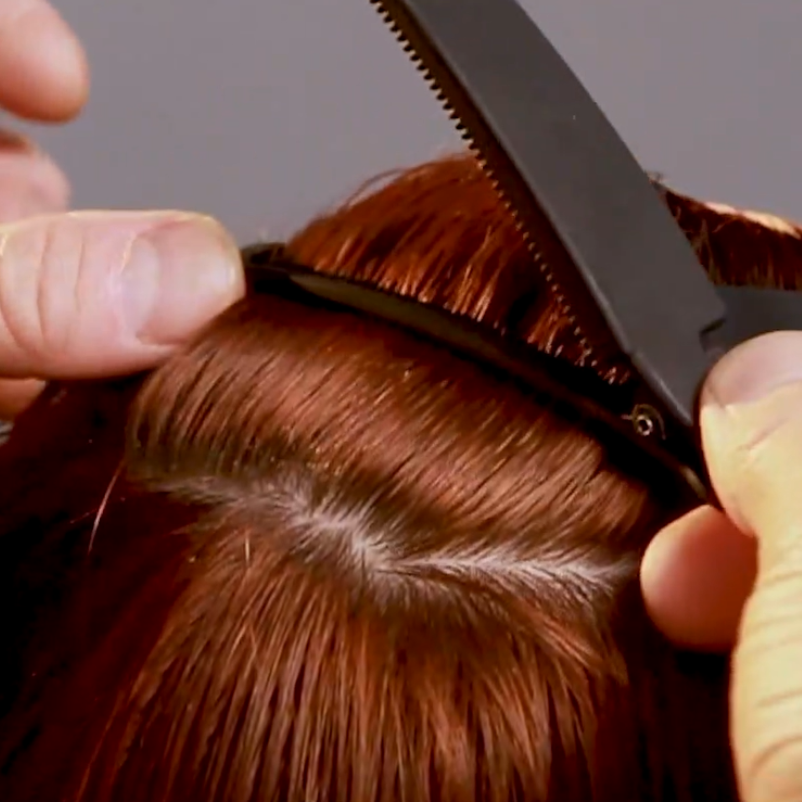 Barracuda Comb Clip - Professional Hair Sectioning Tool by Amplify the Stylist