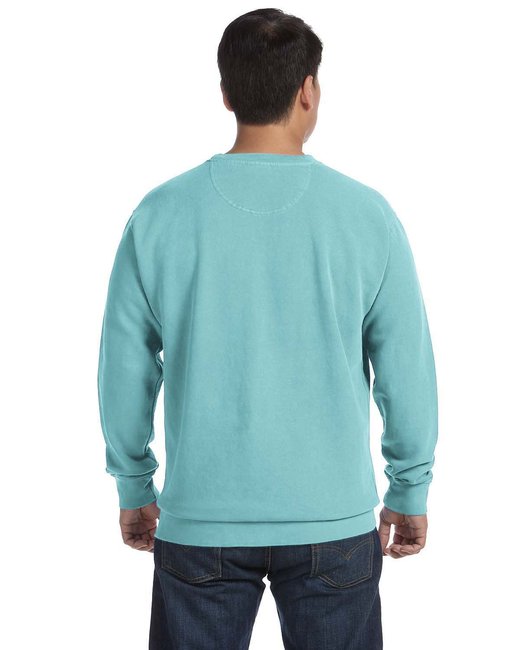 🎨Comfort Colors Adult Crewneck Sweatshirt