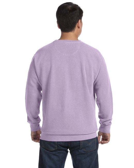 🎨Comfort Colors Adult Crewneck Sweatshirt