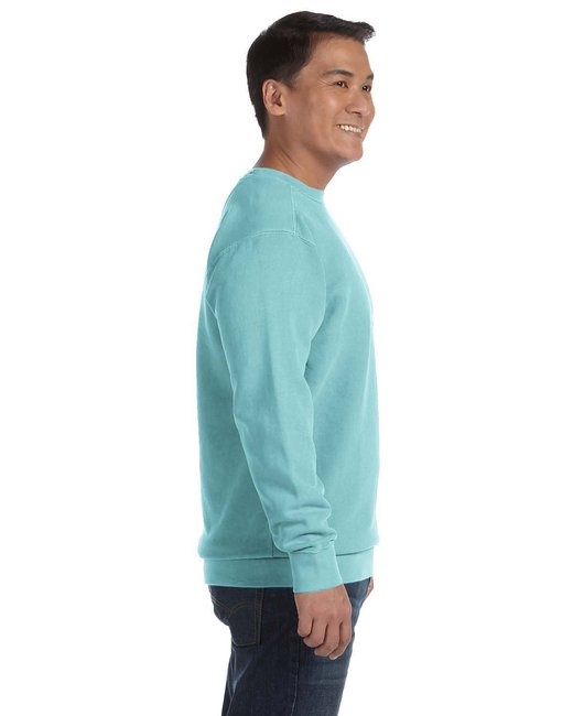 🎨Comfort Colors Adult Crewneck Sweatshirt
