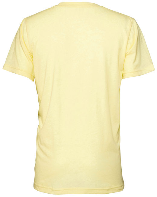 🌸BELLA + CANVAS Unisex Triblend T-Shirt The Branded Salon