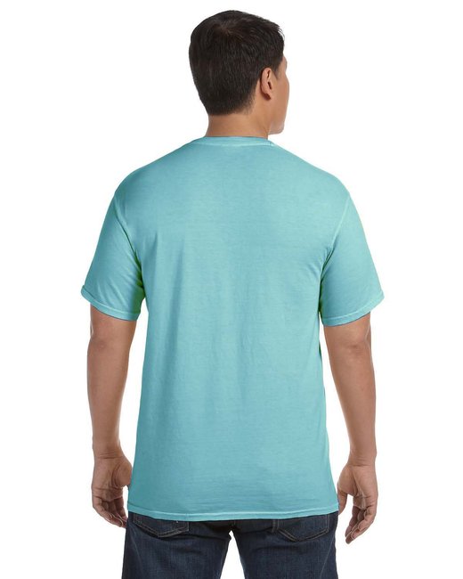 🎨Comfort Colors Adult Heavyweight T-Shirt The Branded Salon