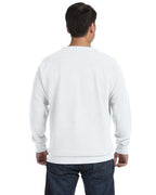 🎨Comfort Colors Adult Crewneck Sweatshirt