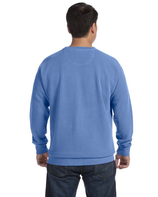 🎨Comfort Colors Adult Crewneck Sweatshirt