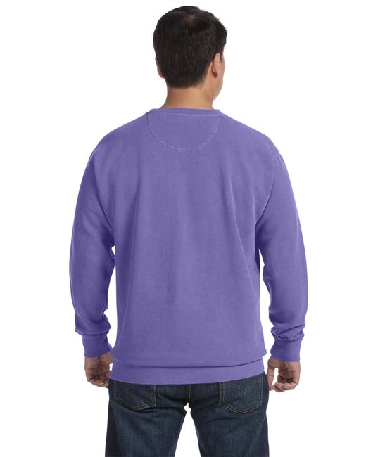 🎨Comfort Colors Adult Crewneck Sweatshirt