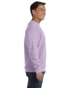 🎨Comfort Colors Adult Crewneck Sweatshirt