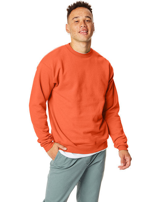 🌎Hanes Unisex Ecosmart® Crewneck Sweatshirt