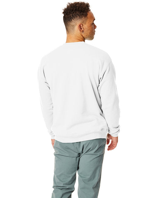 🌎Hanes Unisex Ecosmart® Crewneck Sweatshirt