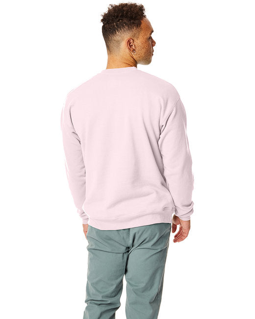 🌎Hanes Unisex Ecosmart® Crewneck Sweatshirt