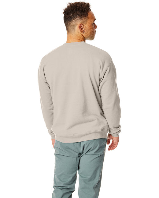 🌎Hanes Unisex Ecosmart® Crewneck Sweatshirt