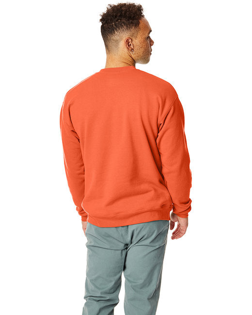 🌎Hanes Unisex Ecosmart® Crewneck Sweatshirt